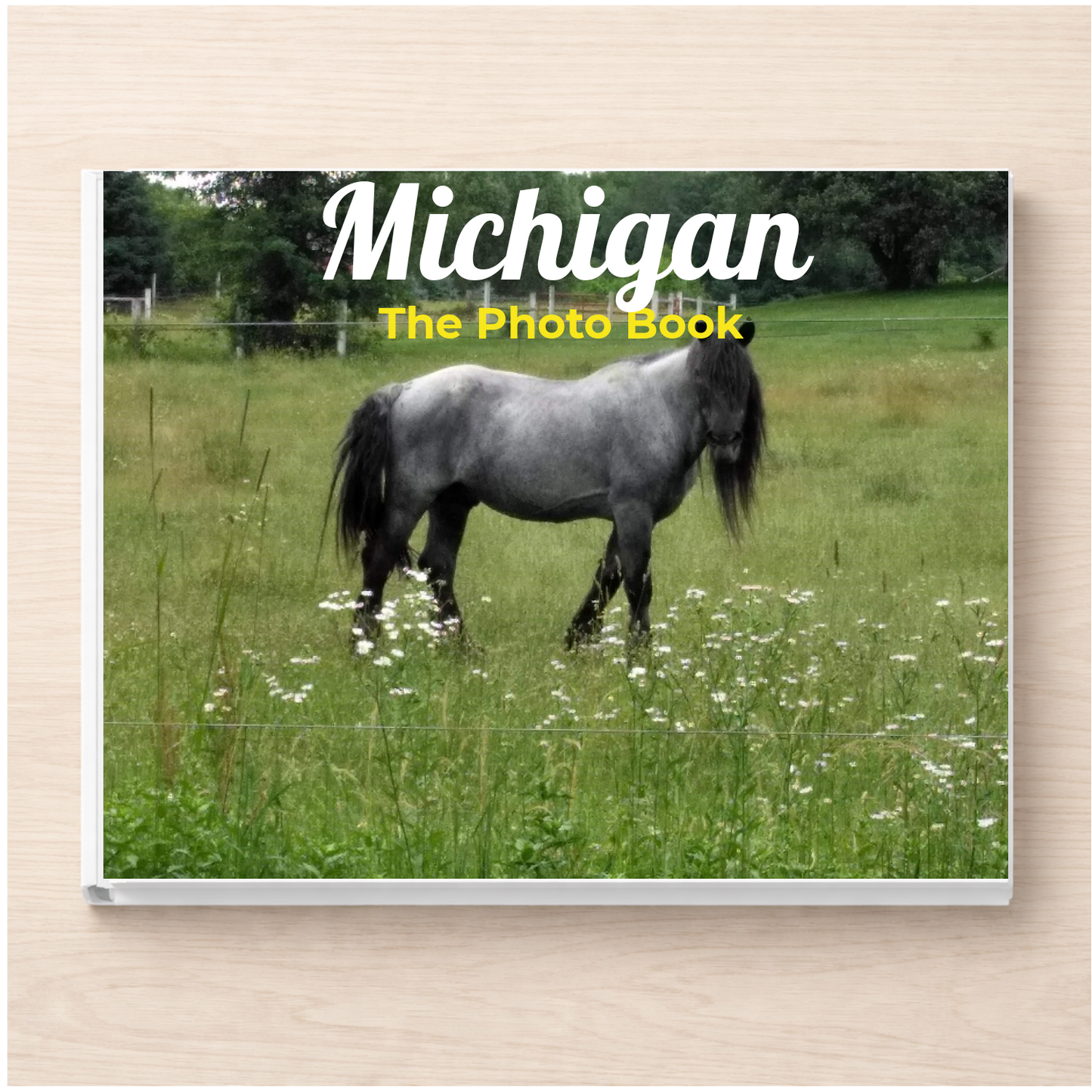 Michigan: The Photo Book