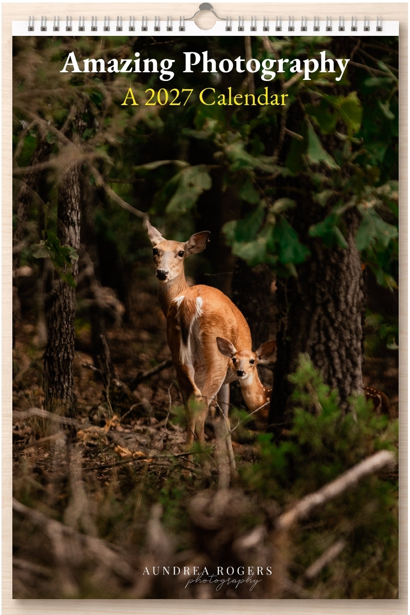 Amazing Photography: A 2027 Calendar