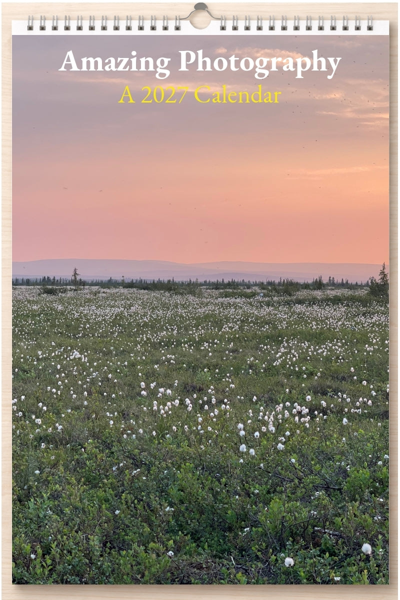Amazing Photography: A 2027 Calendar