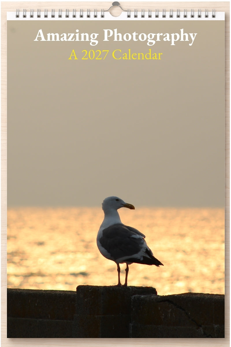 Amazing Photography: A 2027 Calendar