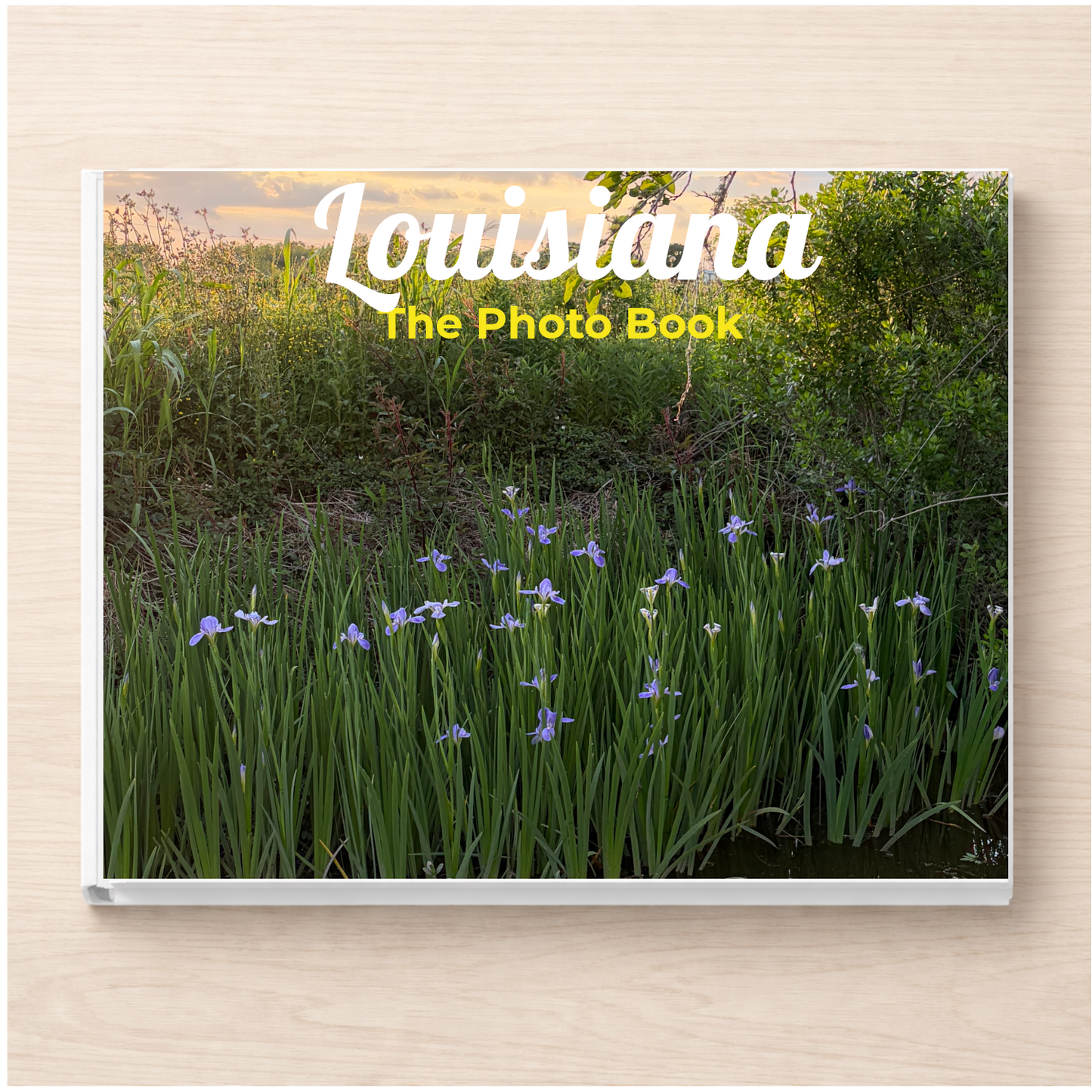Louisiana: The Photo Book