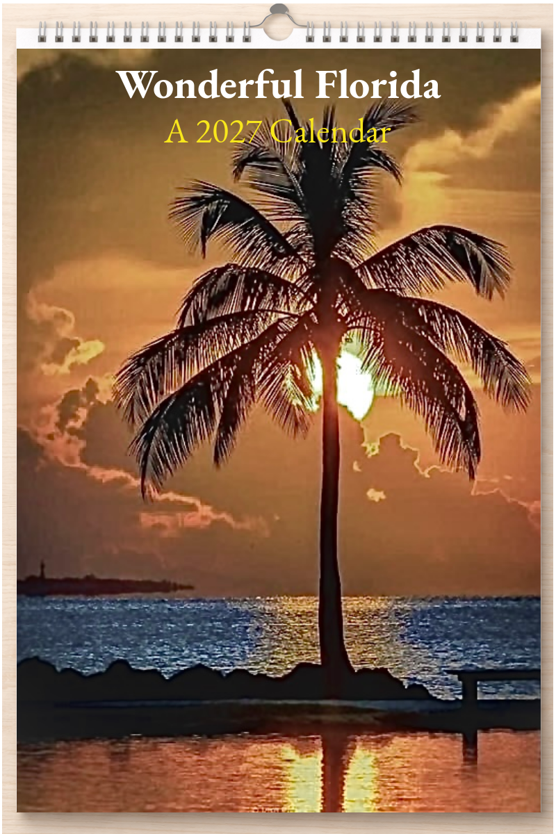 Wonderful Florida: A 2027 Calendar