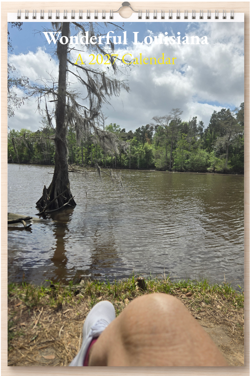 Wonderful Louisiana: A 2027 Calendar
