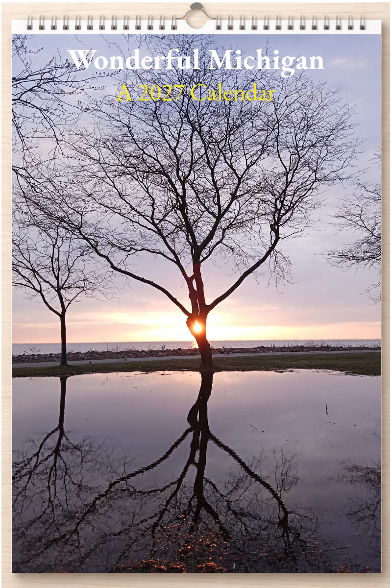 Wonderful Michigan: A 2027 Calendar