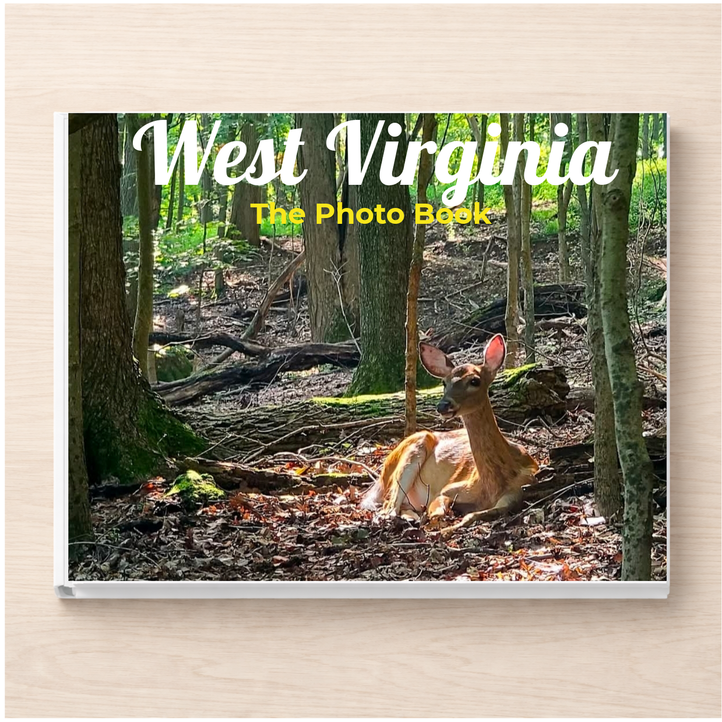 West Virginia: The Photo Book