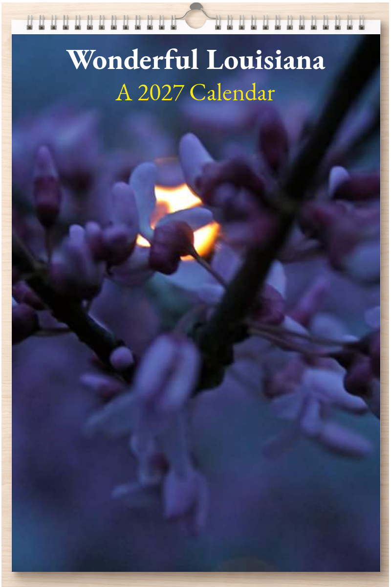 Wonderful Louisiana: A 2027 Calendar