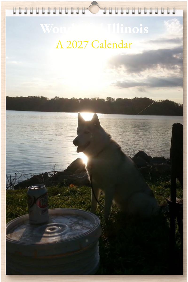 Wonderful Illinois: A 2027 Calendar