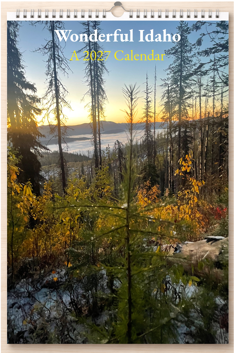 Wonderful Idaho: A 2027 Calendar
