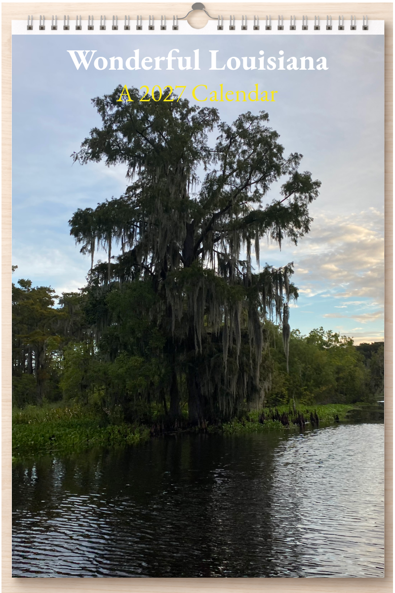 Wonderful Louisiana: A 2027 Calendar