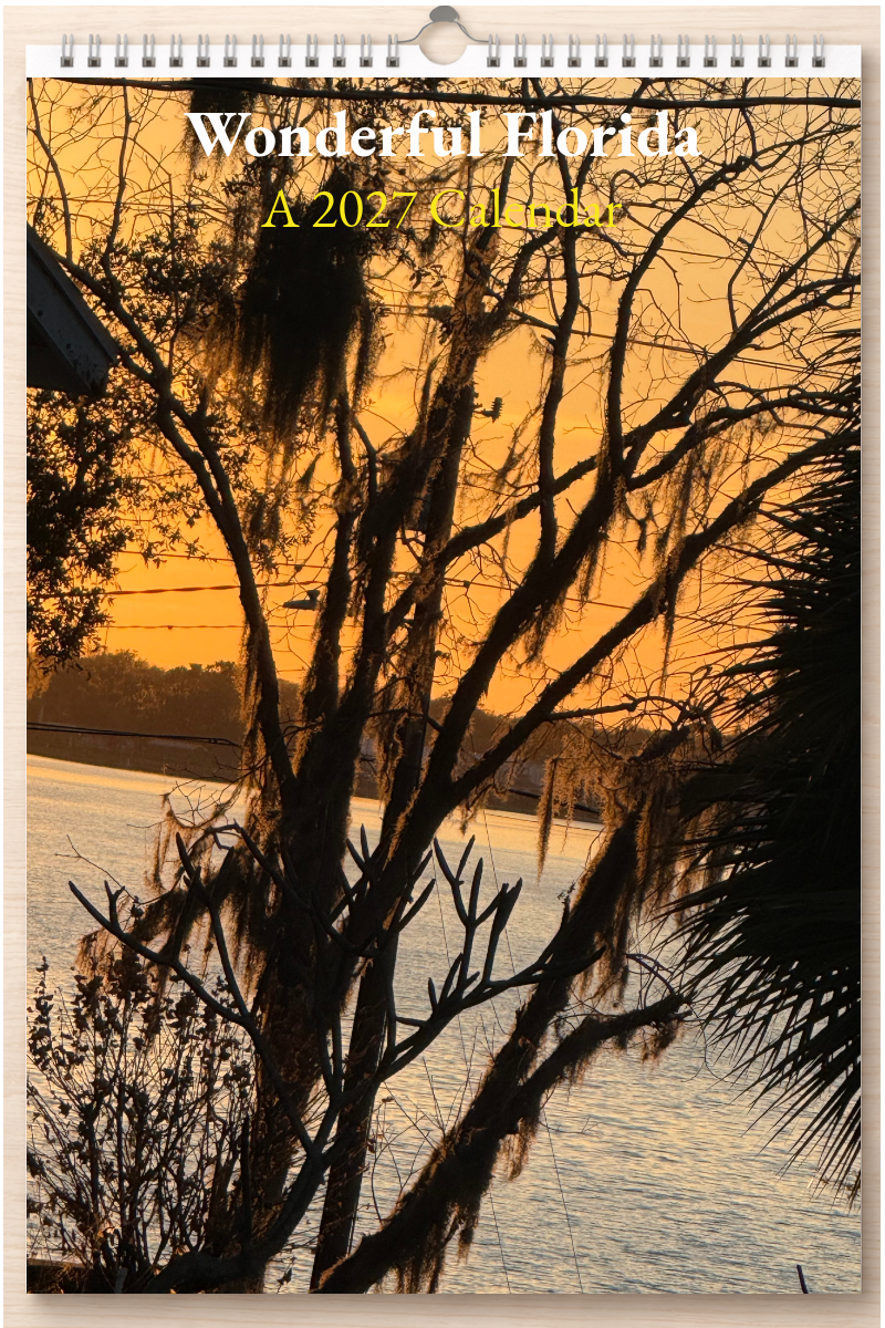 Wonderful Florida: A 2027 Calendar