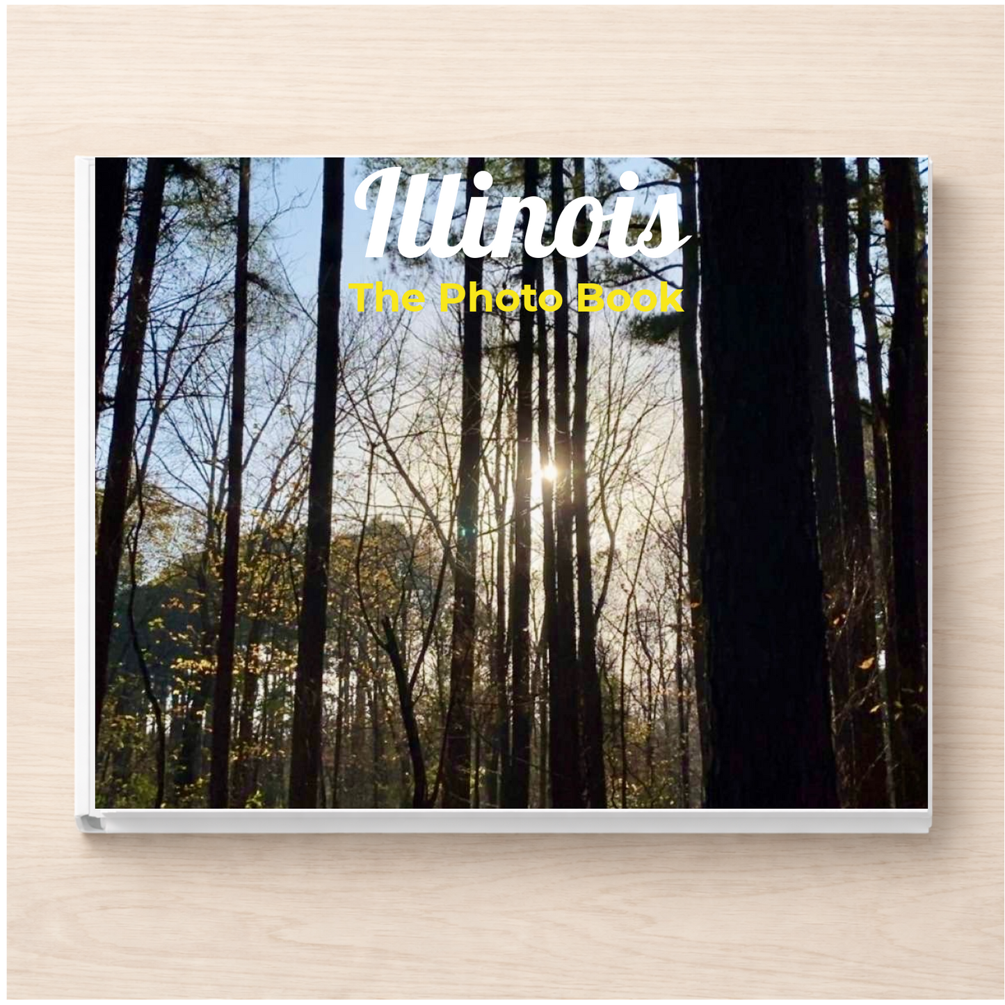 Illinois: The Photo Book