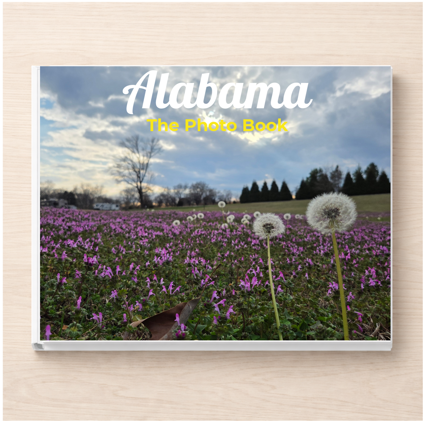 Alabama: The Photo Book