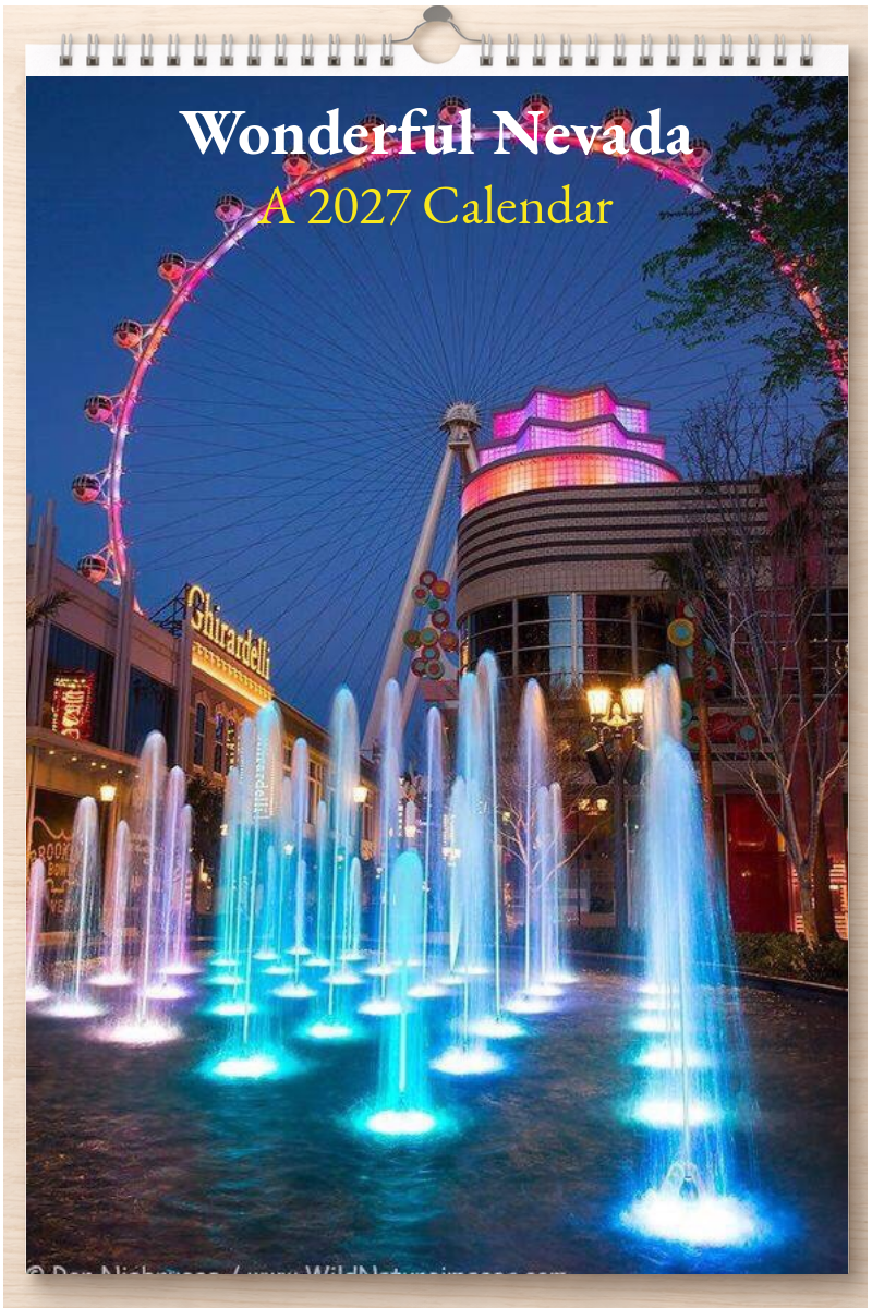 Wonderful Nevada: A 2027 Calendar