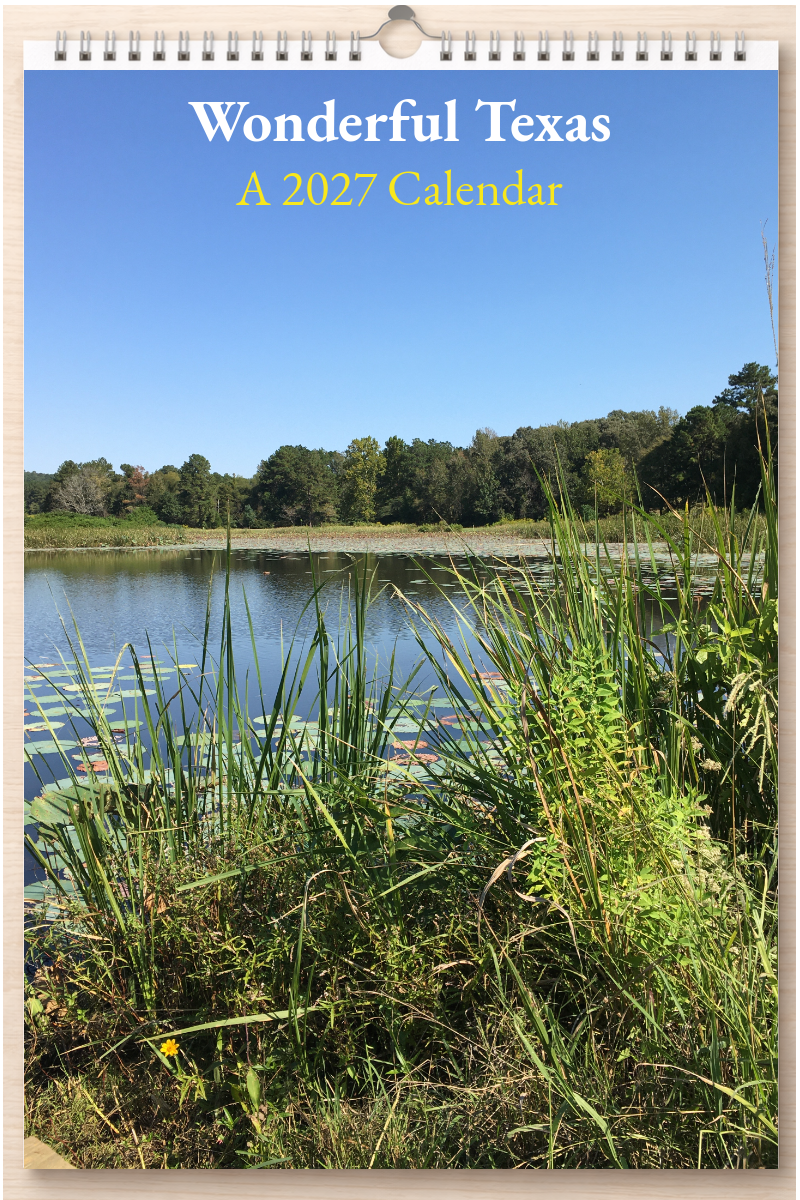 Wonderful Texas: A 2027 Calendar