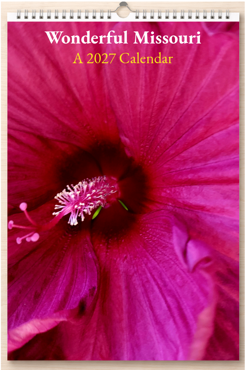 Wonderful Missouri: A 2027 Calendar