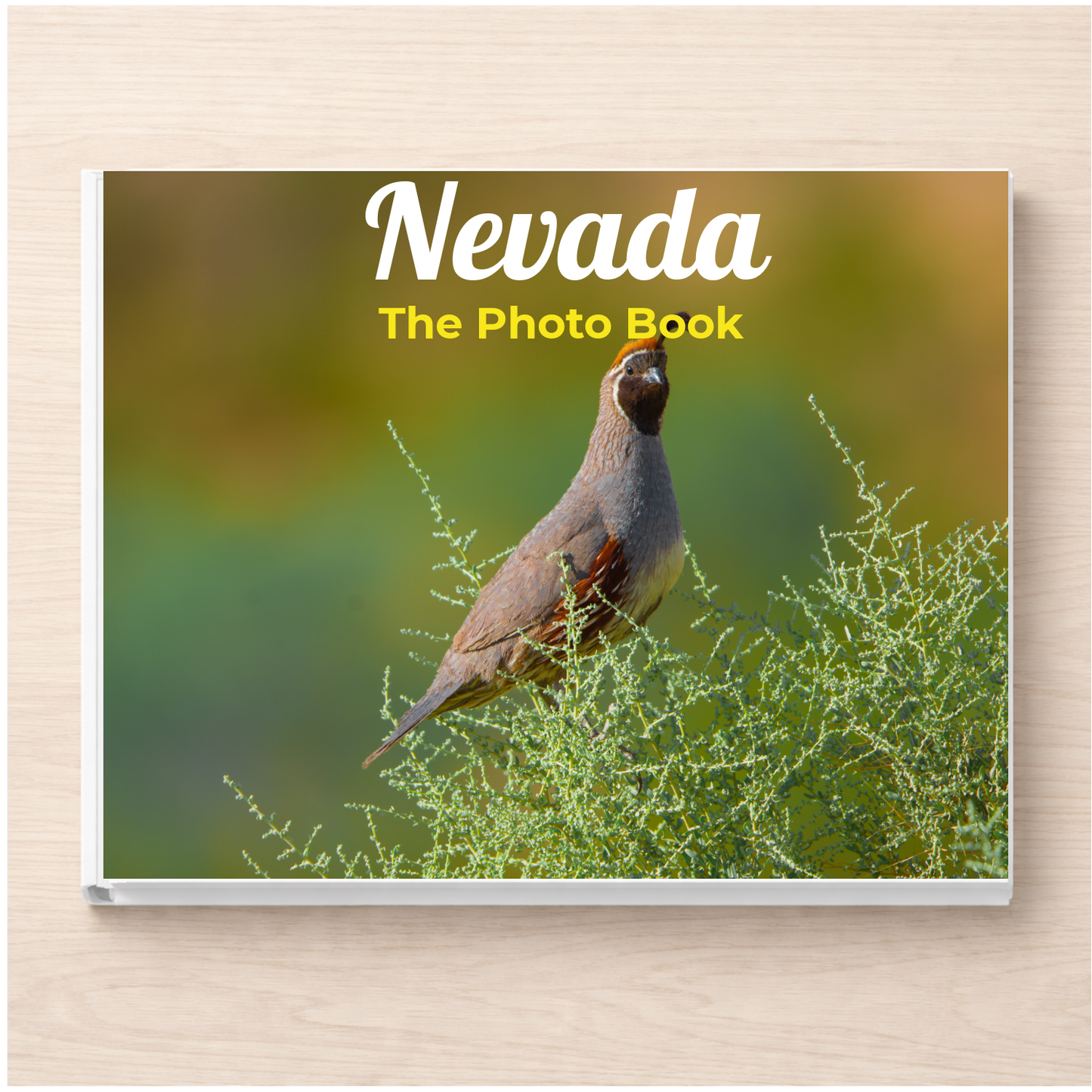 Nevada: The Photo Book