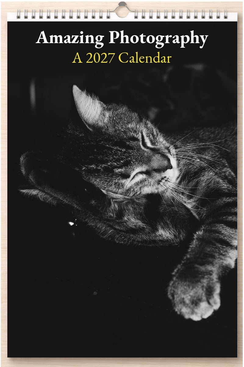 Amazing Photography: A 2027 Calendar