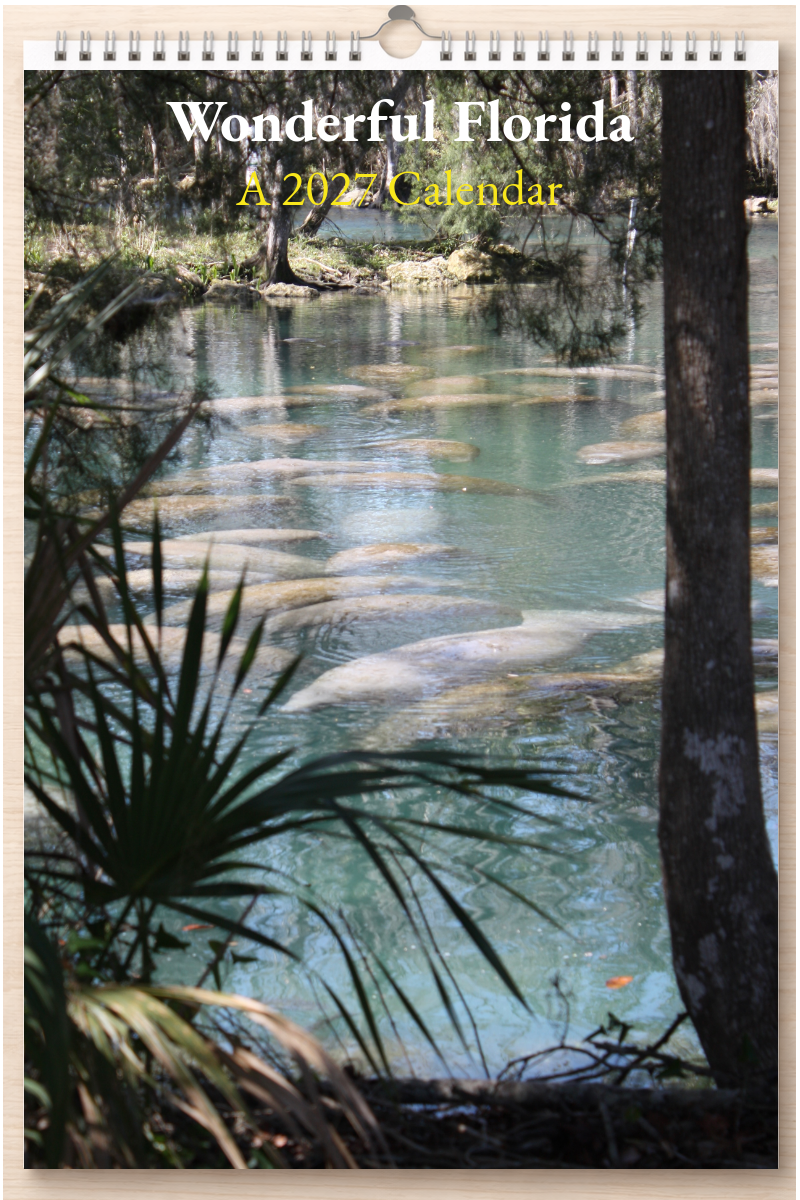 Wonderful Florida: A 2027 Calendar