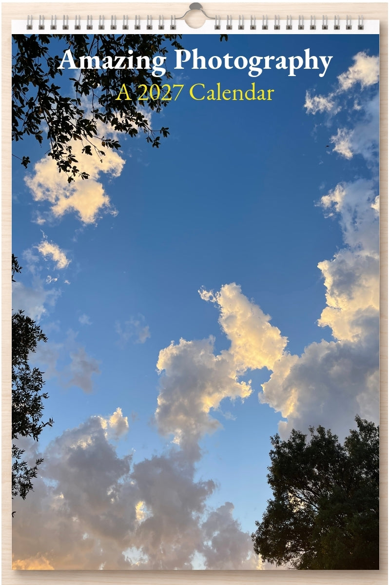 Amazing Photography: A 2027 Calendar