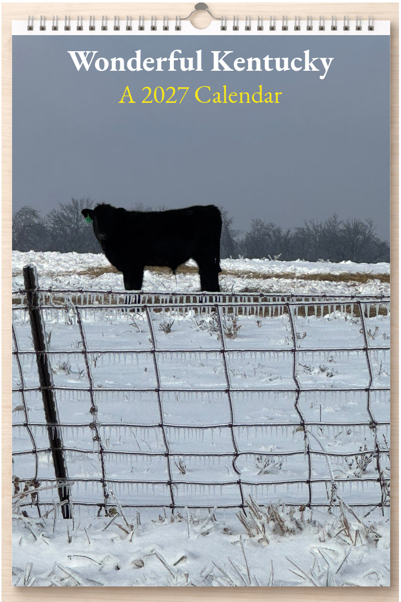Wonderful Kentucky: A 2027 Calendar