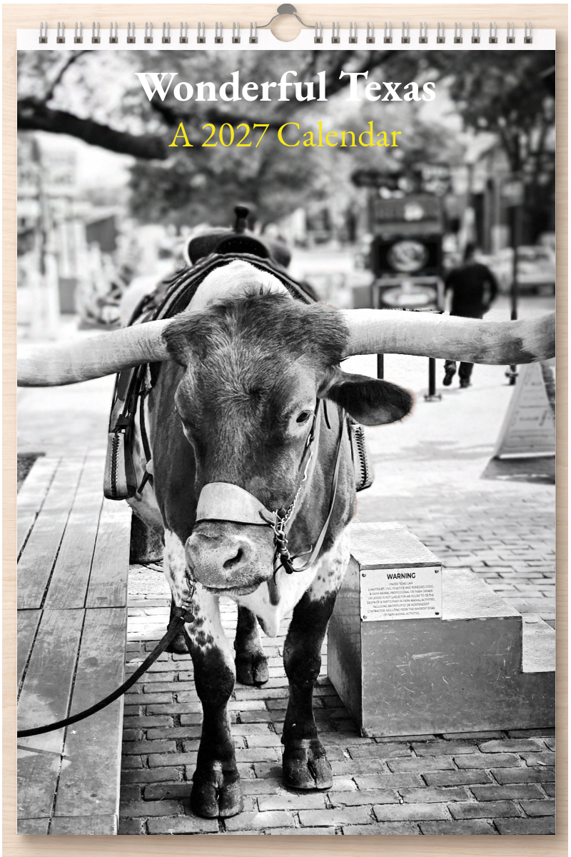 Wonderful Texas: A 2027 Calendar