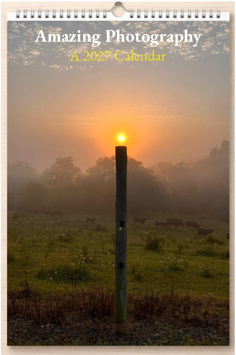 Amazing Photography: A 2027 Calendar
