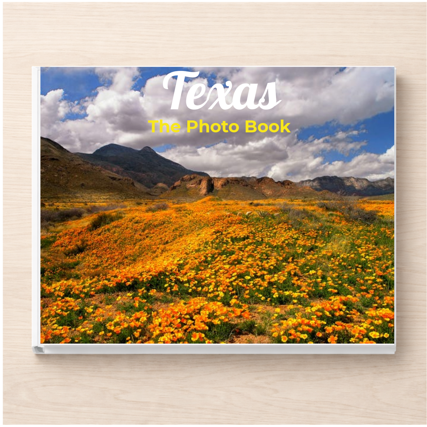 Texas: The Photo Book