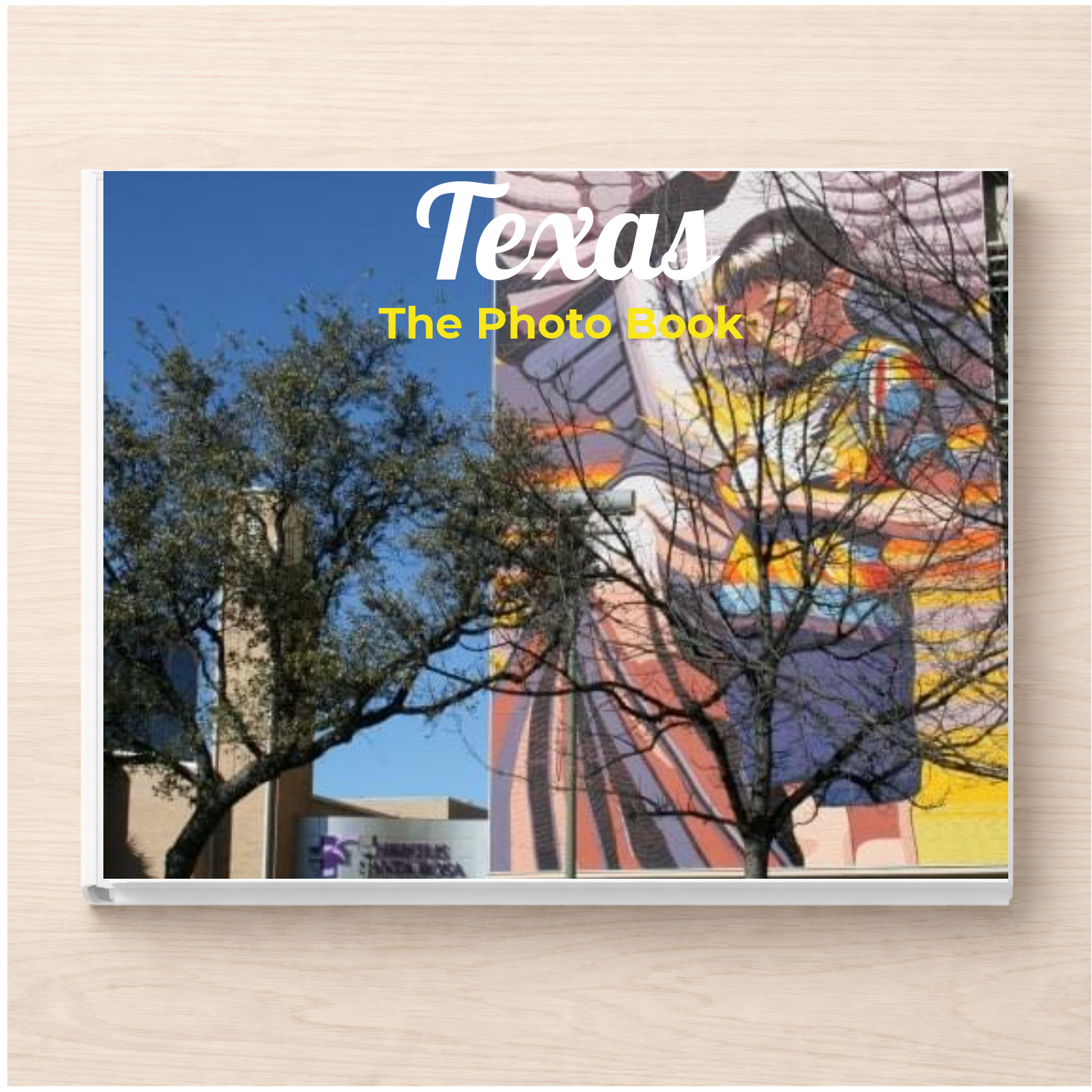Texas: The Photo Book