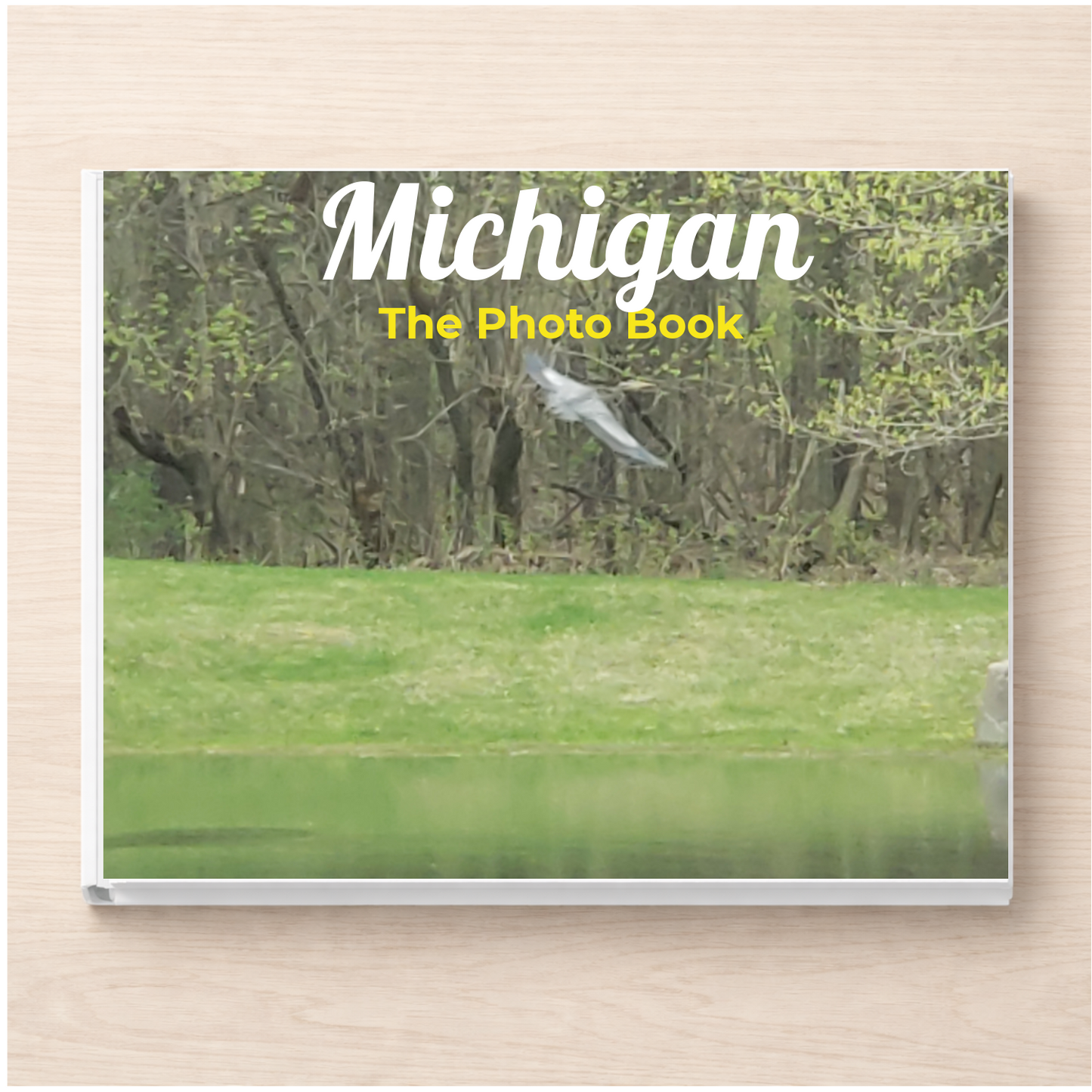 Michigan: The Photo Book