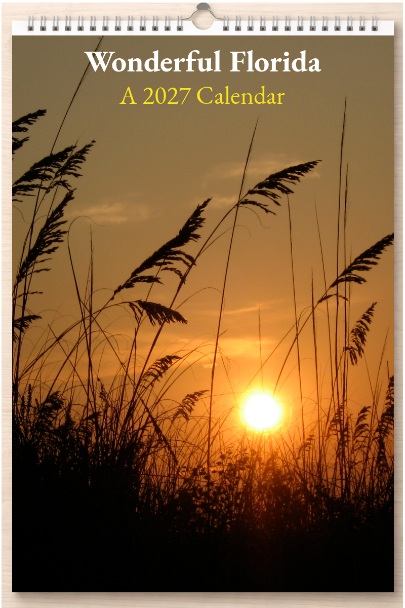 Wonderful Florida: A 2027 Calendar