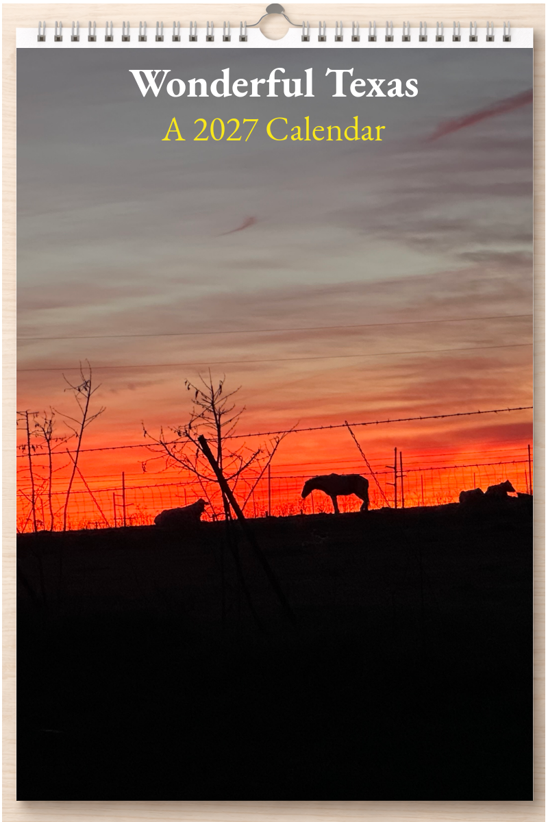 Wonderful Texas: A 2027 Calendar