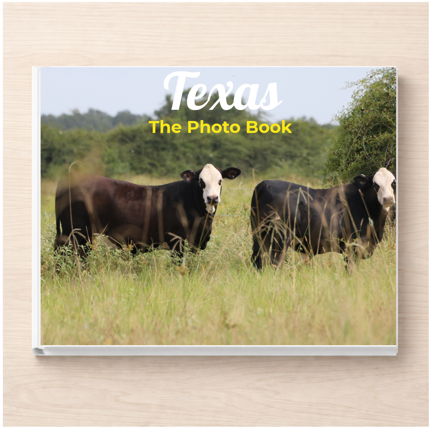Texas: The Photo Book