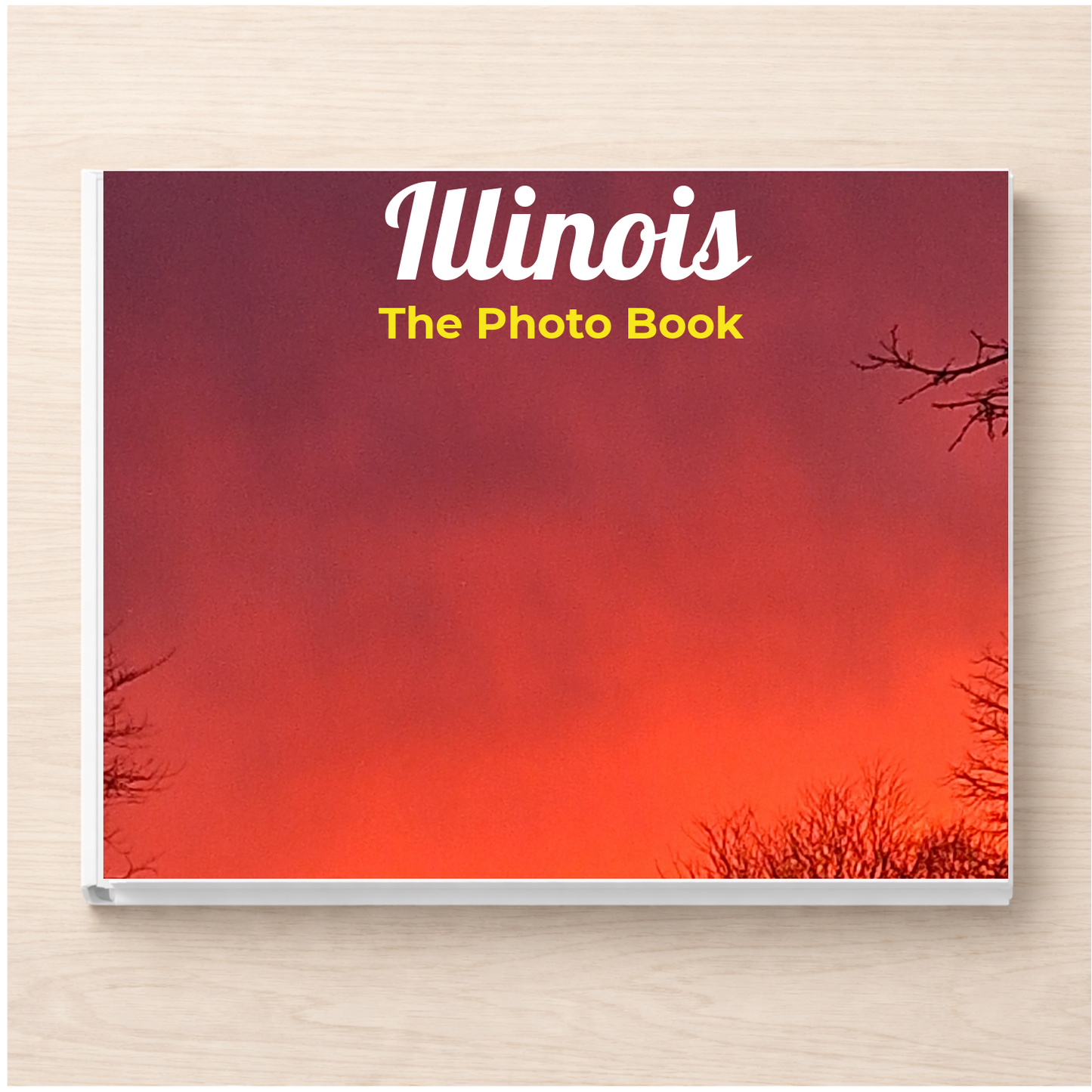 Illinois: The Photo Book