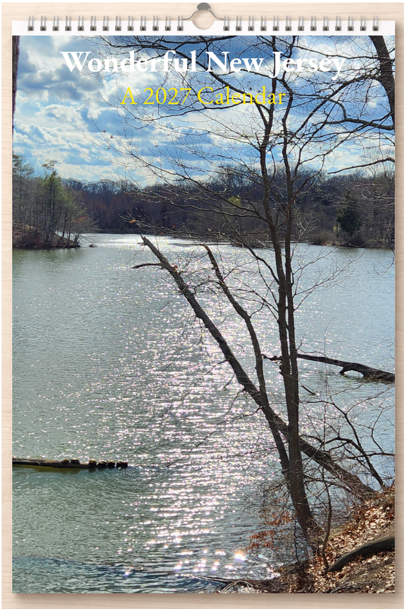 Wonderful New Jersey: A 2027 Calendar