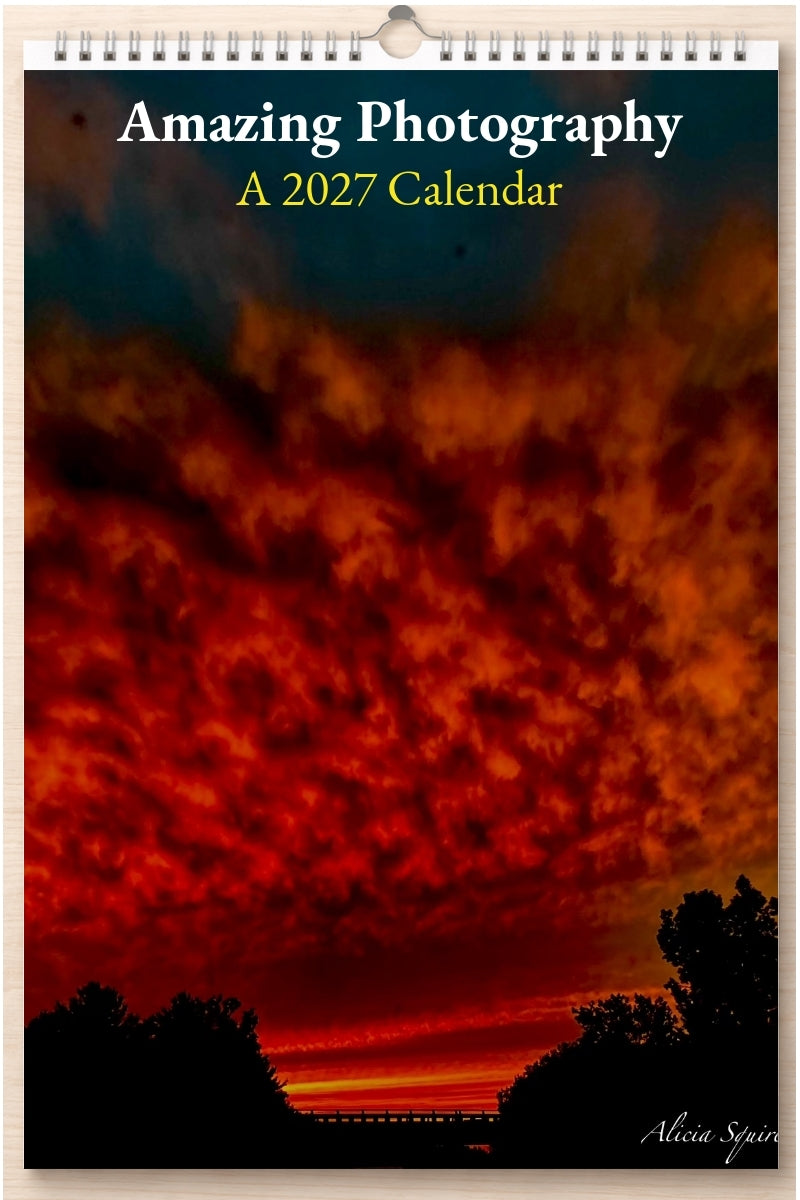 Amazing Photography: A 2027 Calendar