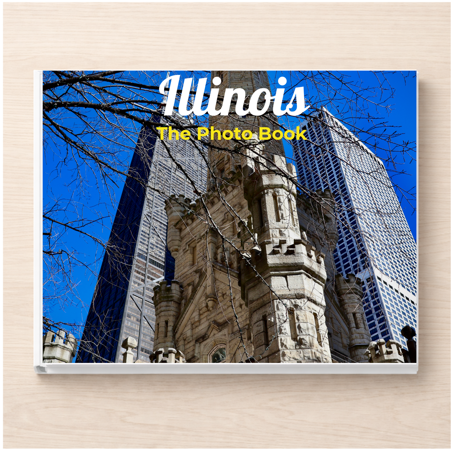 Illinois: The Photo Book