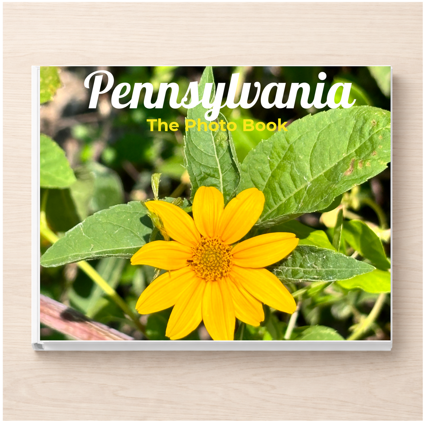 Pennsylvania: The Photo Book