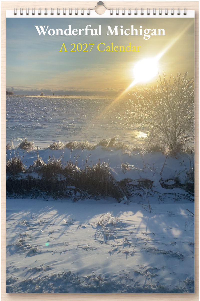 Wonderful Michigan: A 2027 Calendar