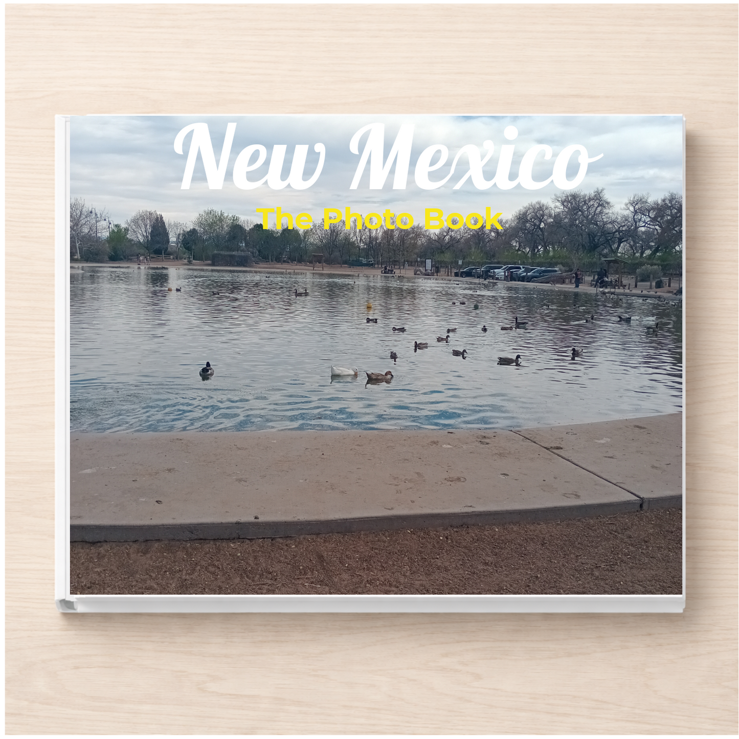 New Mexico: The Photo Book