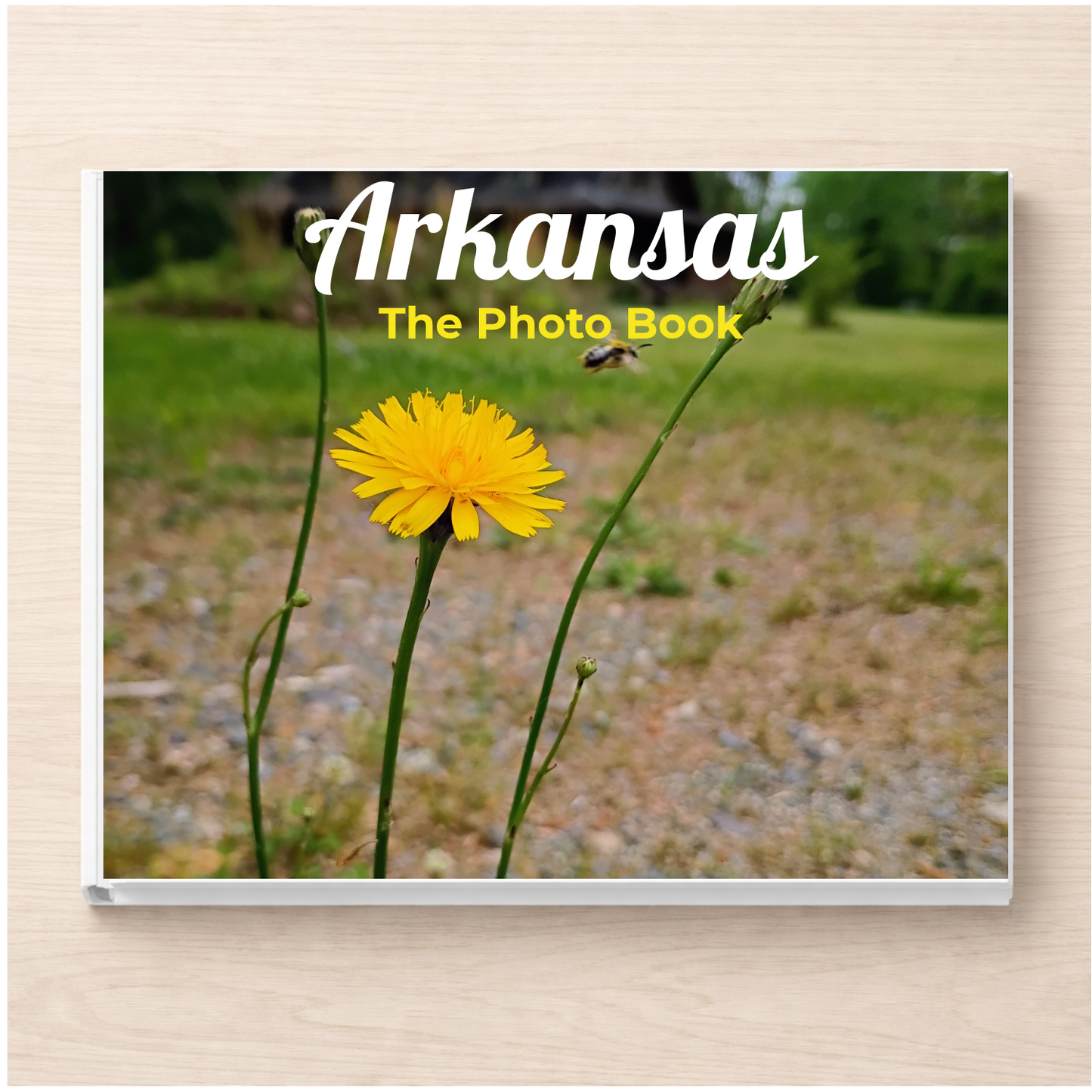 Arkansas: The Photo Book