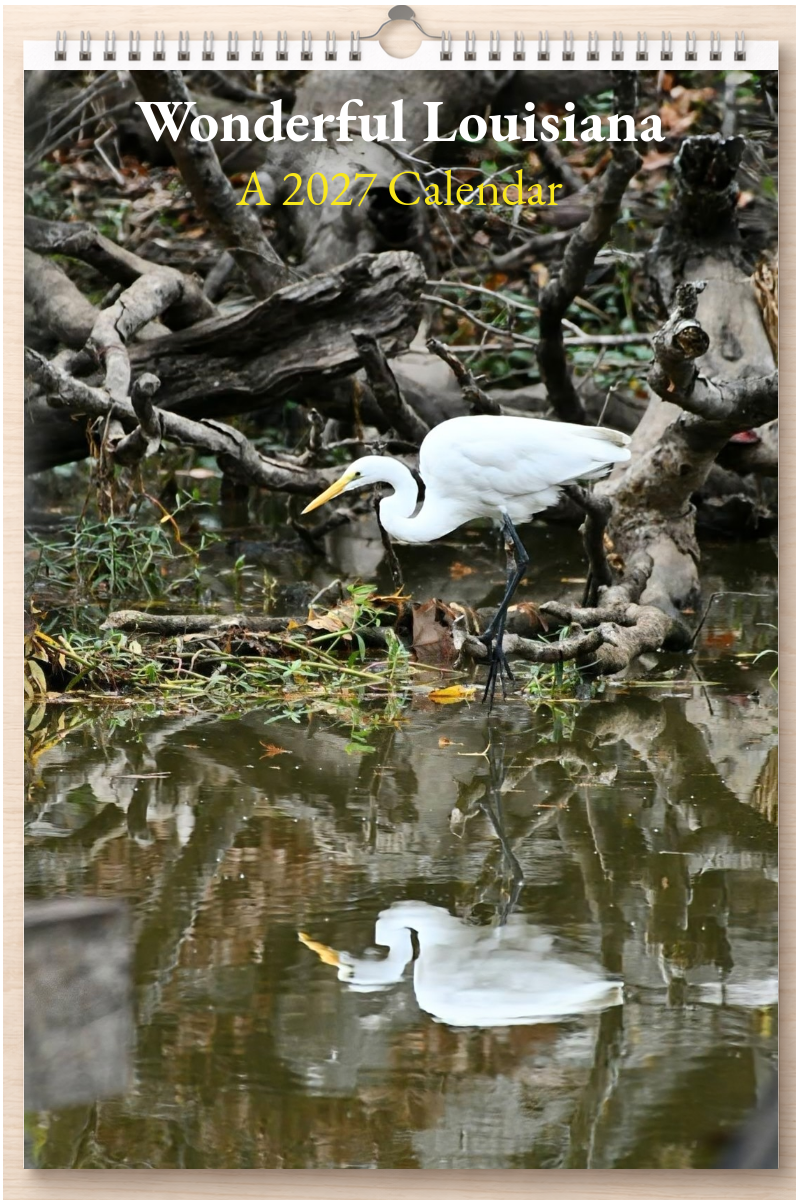Wonderful Louisiana: A 2027 Calendar
