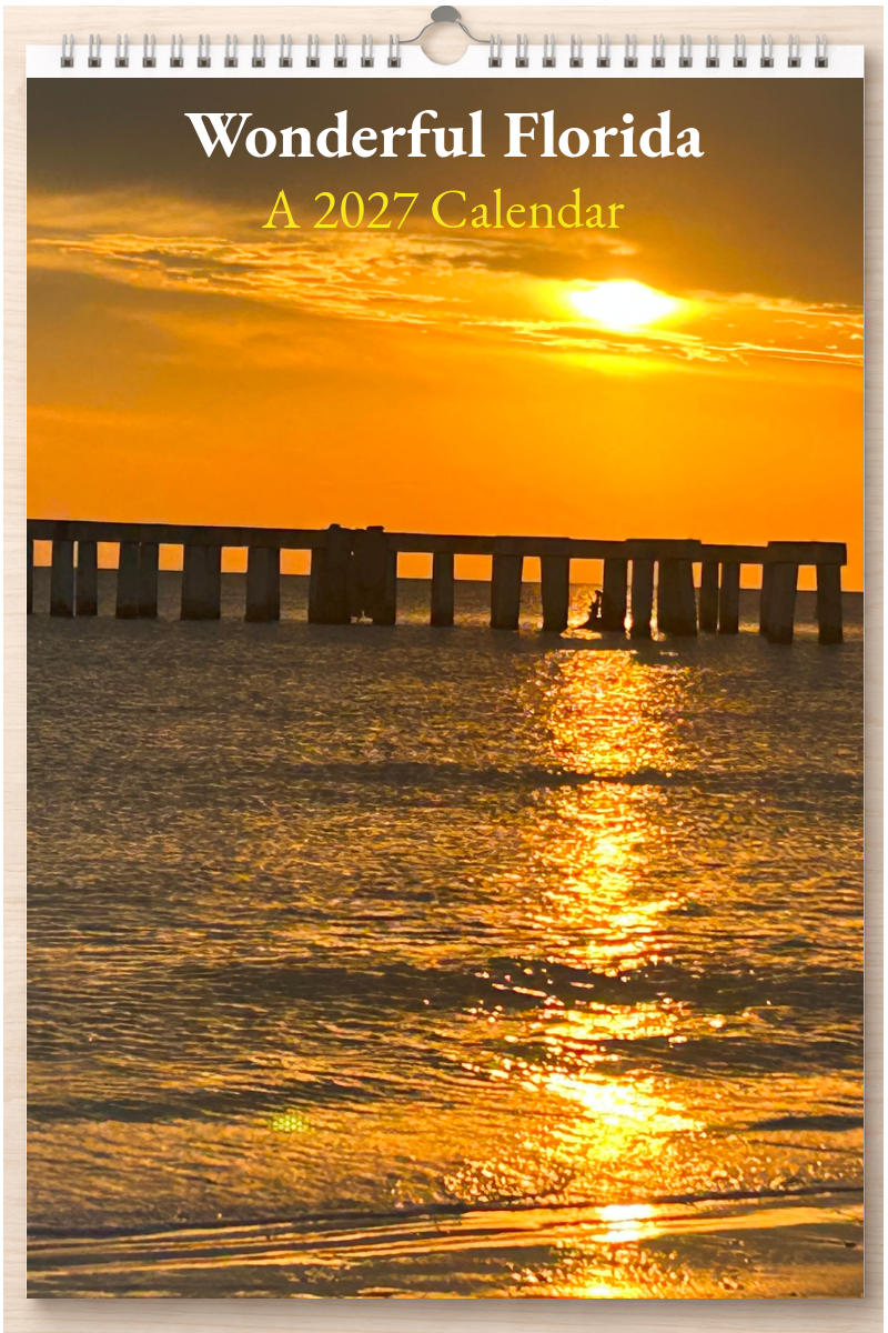 Wonderful Florida: A 2027 Calendar