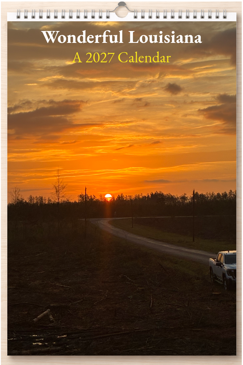 Wonderful Louisiana: A 2027 Calendar