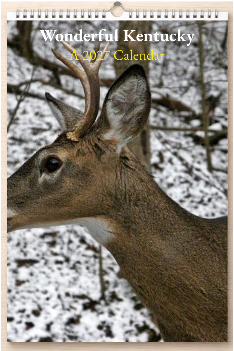 Wonderful Kentucky: A 2027 Calendar