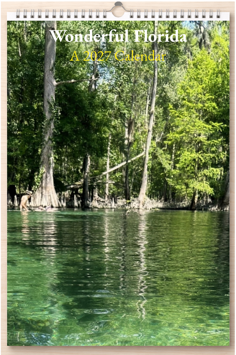 Wonderful Florida: A 2027 Calendar