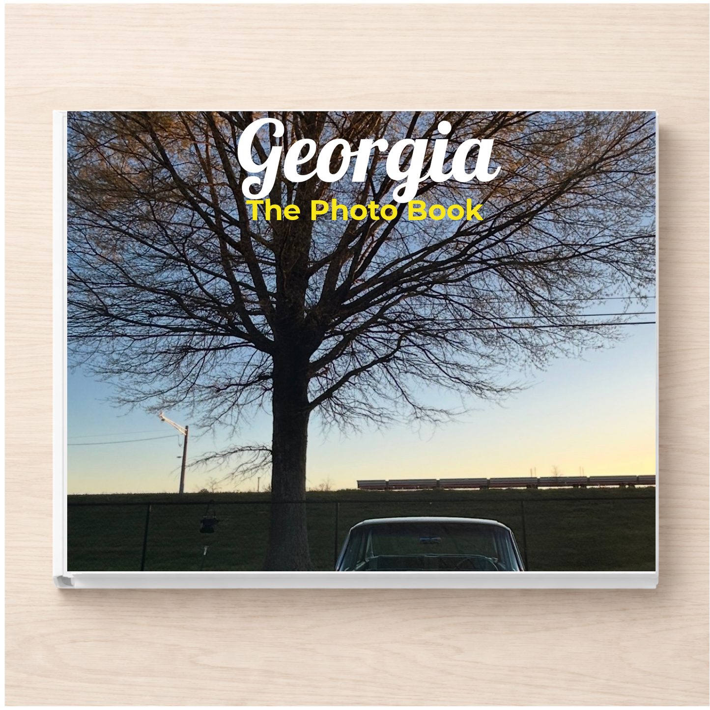 Georgia: The Photo Book