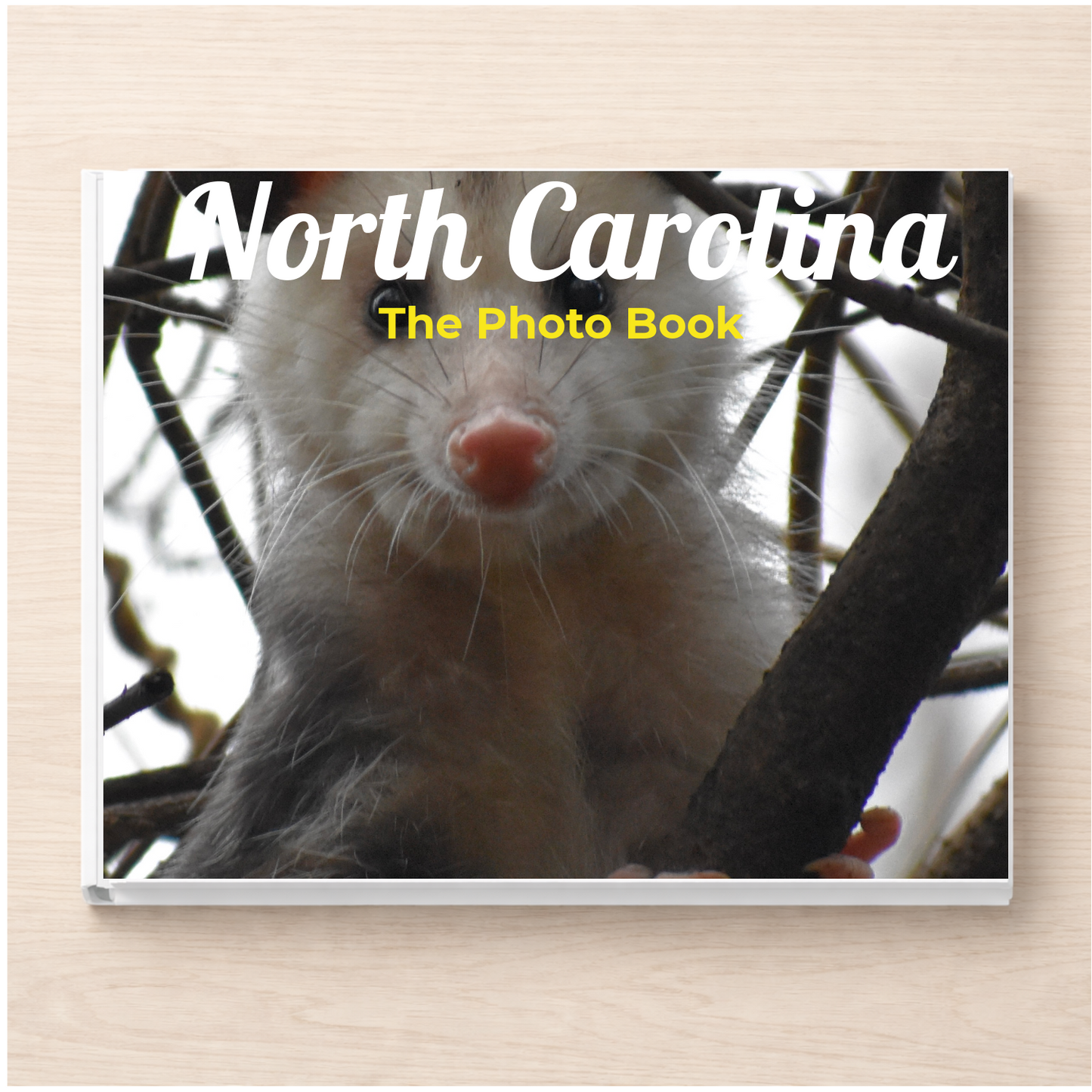 North Carolina: The Photo Book