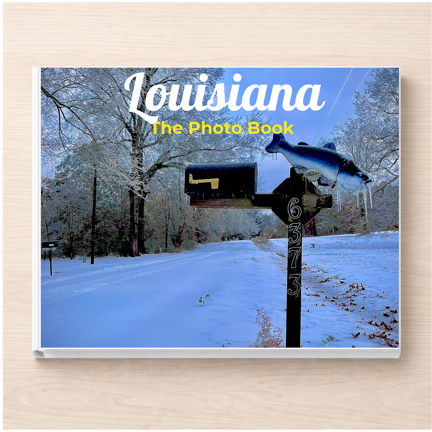 Louisiana: The Photo Book