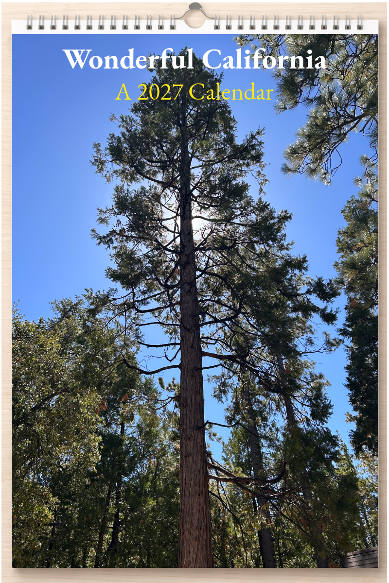 Wonderful California: A 2027 Calendar