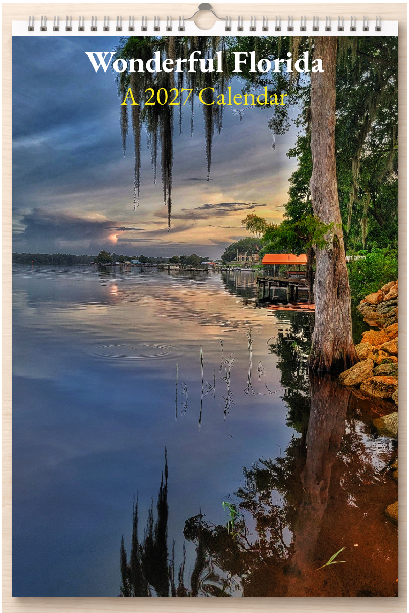 Wonderful Florida: A 2027 Calendar
